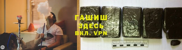 гидра Алексин