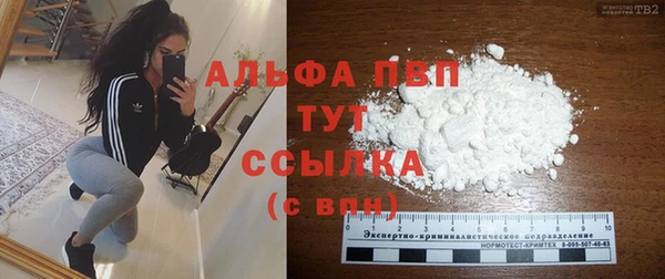 гидра Алексин
