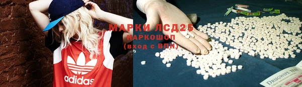 гидра Алексин