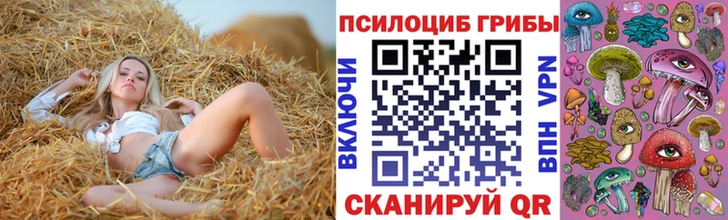 Псилоцибиновые грибы GOLDEN TEACHER  Дмитриев 